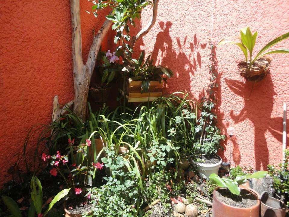 Hostal Del Carmen Villa de Leyva Εξωτερικό φωτογραφία